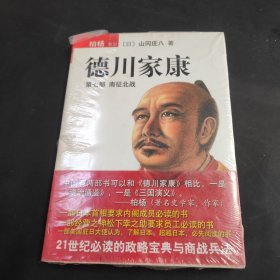 德川家康（第七部）：南征北战