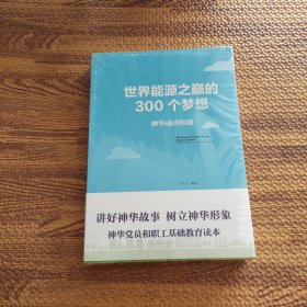 世界能源之颠的300个梦想