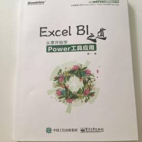 Excel BI 之道：从零开始学Power工具应用