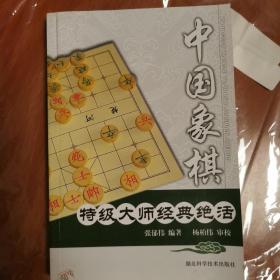 中国象棋特级大师经典绝活