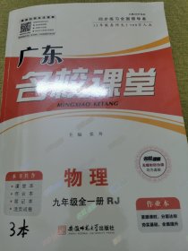 名校课堂·物理 九年级 全一册（RJ）