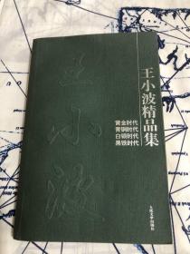 王小波精品集