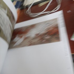 瑞禽祥花 北京画院安华平工作室师生作品集