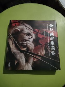 金丝猴邮集图鉴