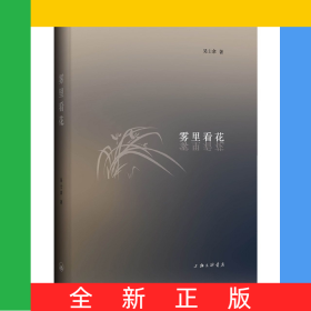 霧里看花