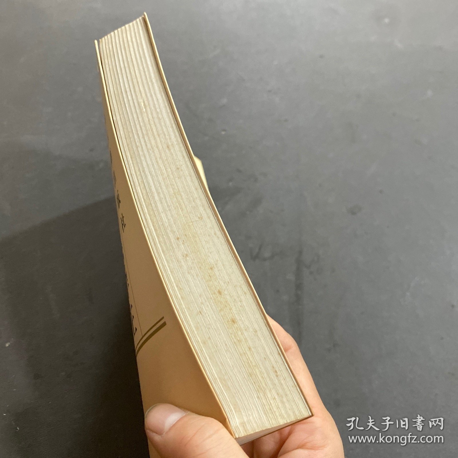 唐贤三昧集译注