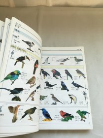 鸟：全世界800多种鸟的彩色图鉴