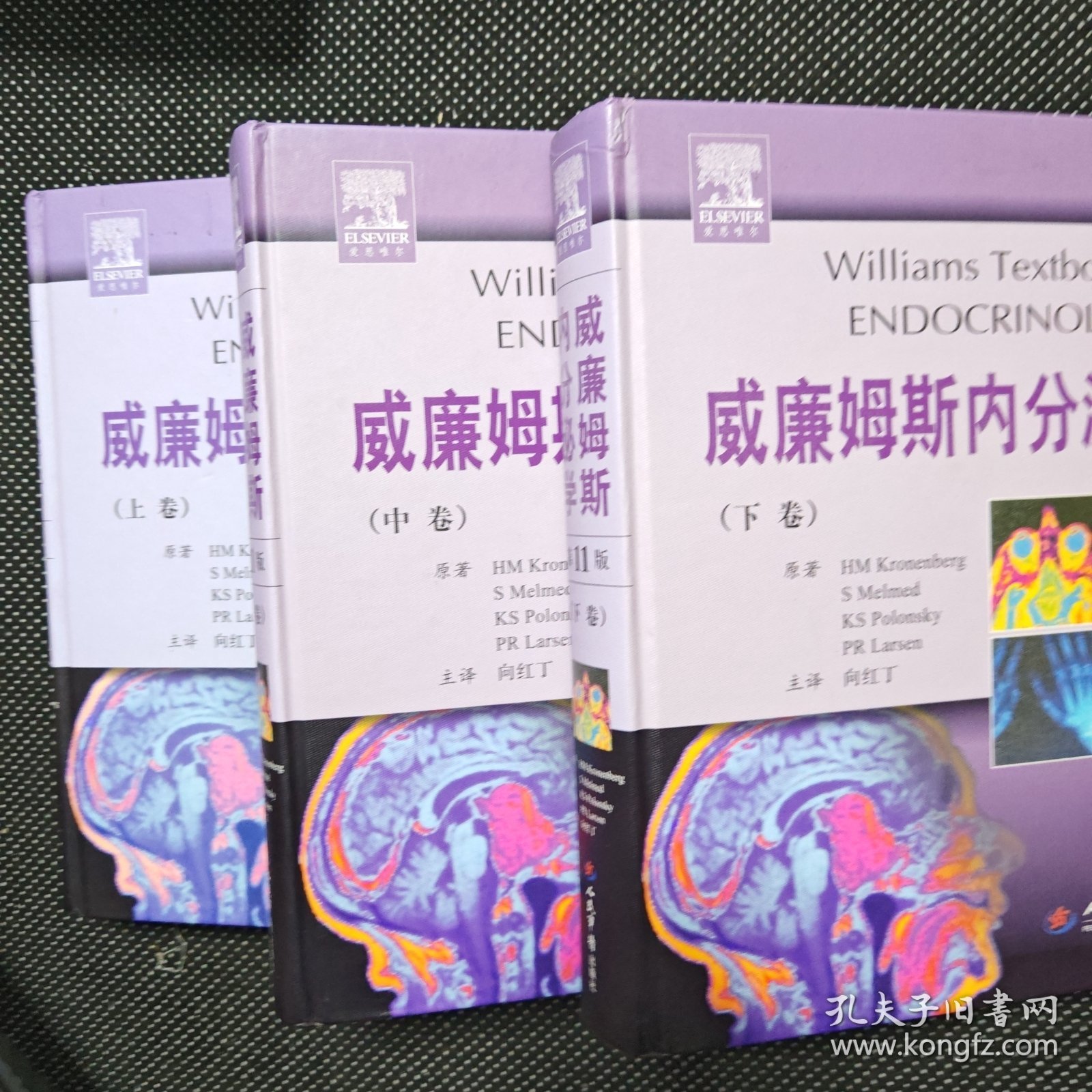 威廉姆斯内分泌学