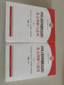 中华人民共和国民法总则 条文理解与适用（套装上下册）