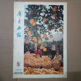 广东画报-1978-5-8开