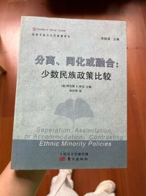 分离、同化或融合：少数民族政策比较