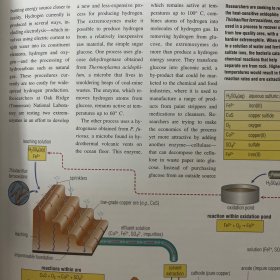 Yearbook of Science and the Future1998