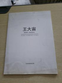 王大宙  新語鏡下的顛覆性流行文化魅力