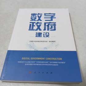 数字政府建设