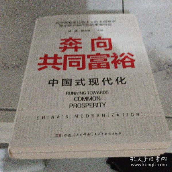 奔向共同富裕（读懂共同富裕，看清未来中国！深入浅出，雅俗共赏，两大TOP级智库联袂巨献，通俗理论重磅大作！）