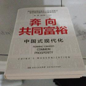 奔向共同富裕（读懂共同富裕，看清未来中国！深入浅出，雅俗共赏，两大TOP级智库联袂巨献，通俗理论重磅大作！）