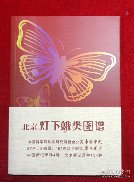 北京灯下蛾类图谱