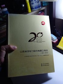山西漳泽电力股份有限公司志（1997-2016）
