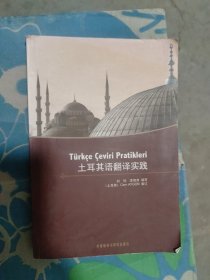 土耳其语翻译实践