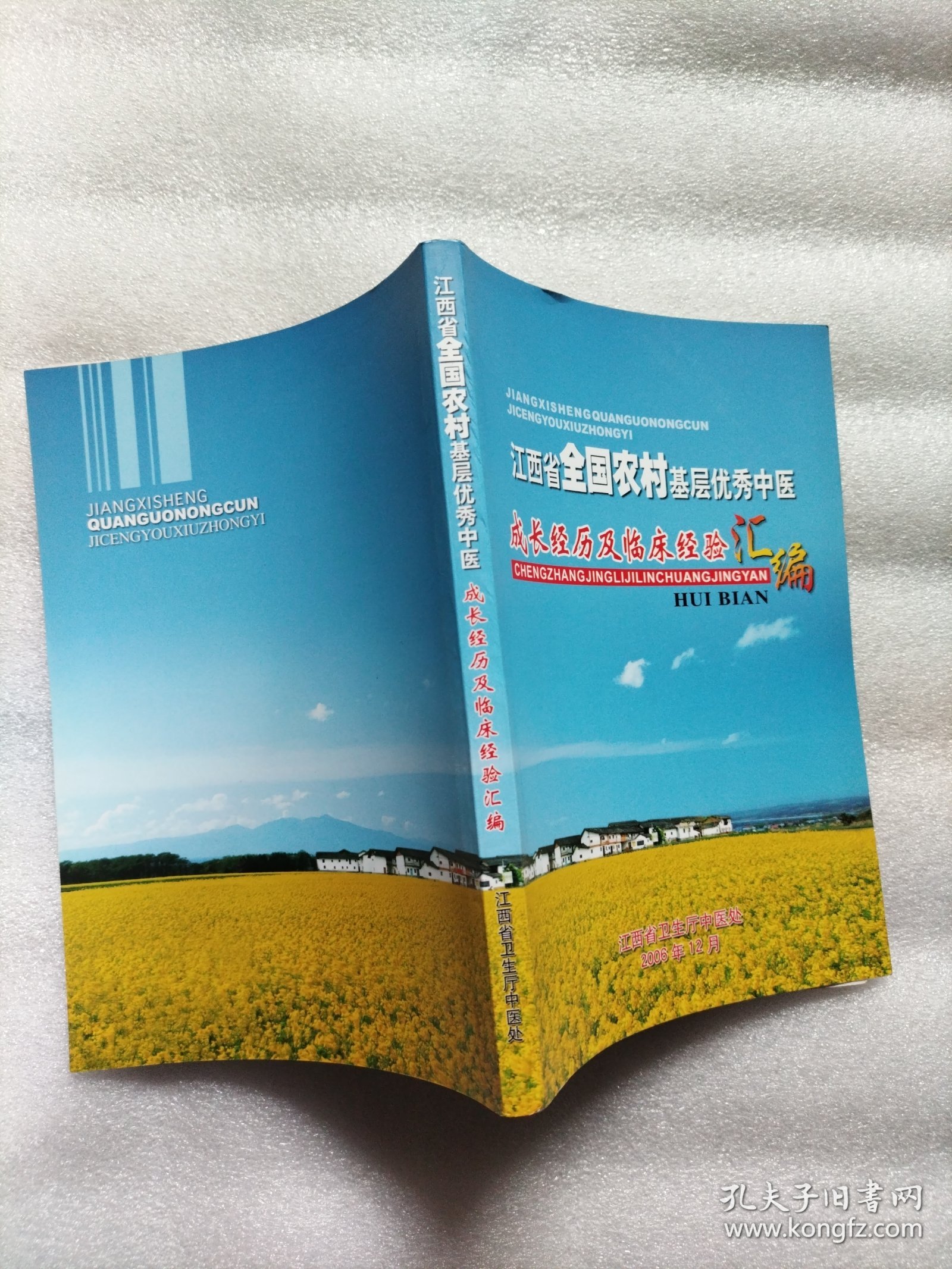 点击查看原图 江西省全国农村基层优秀中医 成长经历及临床经验汇编