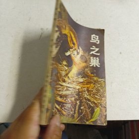 鸟之巢