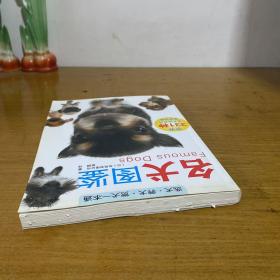 名犬图鉴：世界331种名犬驯养与鉴赏图典【实物拍照现货正版】