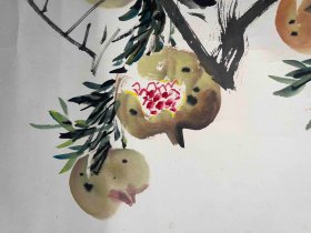 杭英 石榴