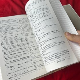 汉语大字典:简编本（1）