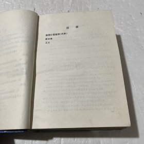 中外微型小说鉴赏辞典