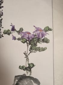 张小村国画精品《东篱遗趣》保真