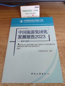 中国旅游集团化发展报告(23):繁荣与重构