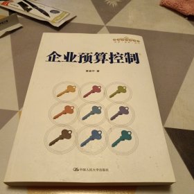 企业预算控制