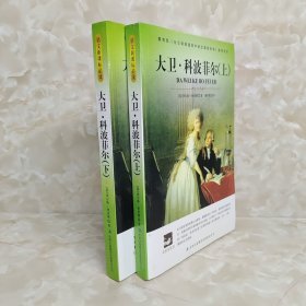 名师审定版 大语文 大卫.科波菲尔(上下)