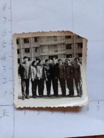 中国人民解放军 家庭相册保存军人照片 时期老照片   单位楼前多名男女战友合影照片