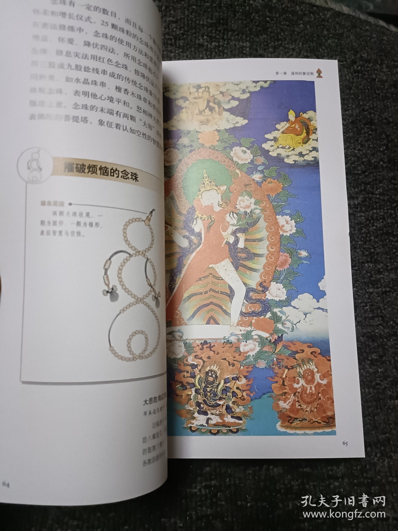 唐卡中的法器（全彩插图珍藏本）