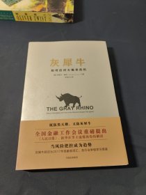 灰犀牛：如何应对大概率危机