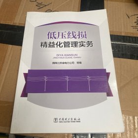 低压线损精益化管理实务