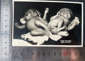 民国连体婴儿照片明信片