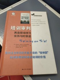 培训审判：再造职场学习,保持与时俱进(有较多页面有划线如图所示)