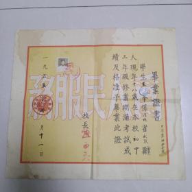 老毕业证书 1955年 河北省武强县