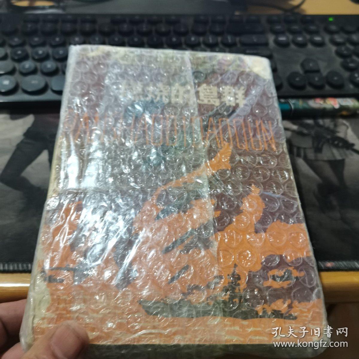 燃烧的岛屿 上下2册合售