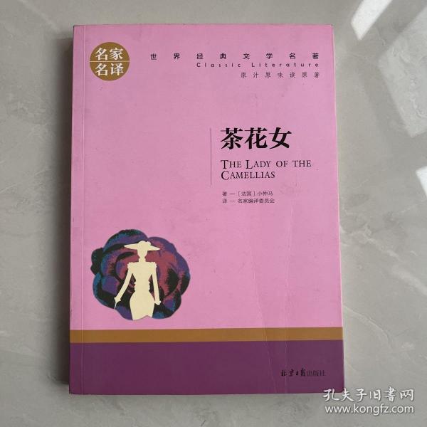 茶花女 中小学生课外阅读书籍世界经典文学名著青少年儿童文学读物故事书名家名译原汁原味读原著