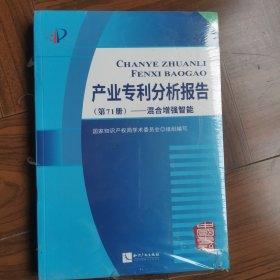 产业专利分析报告（第71册）——混合增强智能