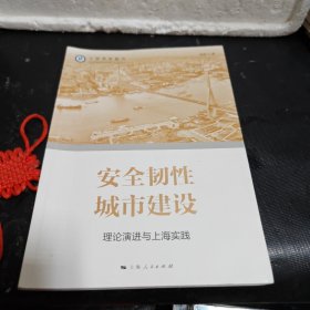 安全韧性城市建设（理论演进与上海实践）