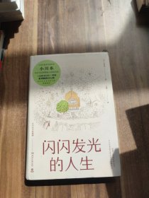闪闪发光的人生