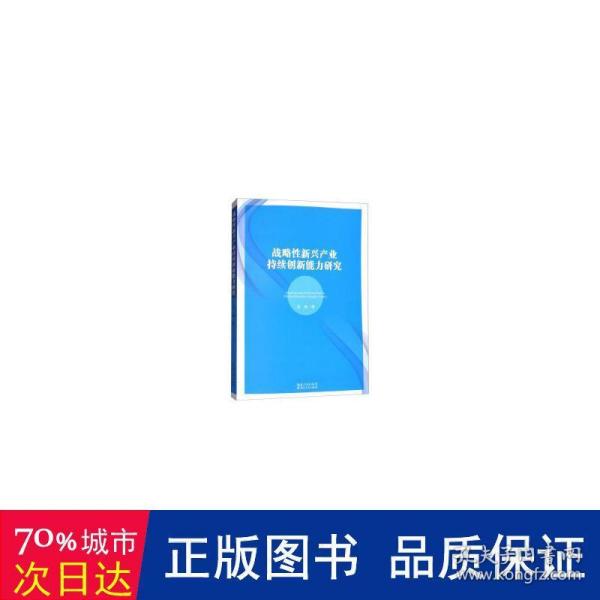 战略性新兴产业持续创新能力研究