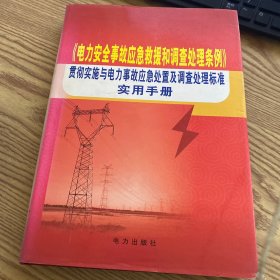 《电力安全事故应急救援和调查处理条例》贯彻实施与电力事故应急处置及调查处理标准 实用手册（下）