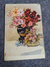 老明信片 鲜花(1955年1版1印)