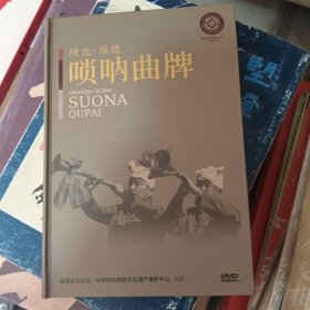 陕北绥德唢呐曲牌（DVD碟2张一套）
