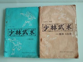 少林武术（一组两册）